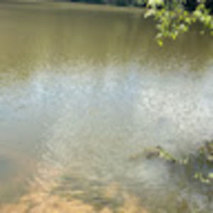 Meet your Posher, Tripp